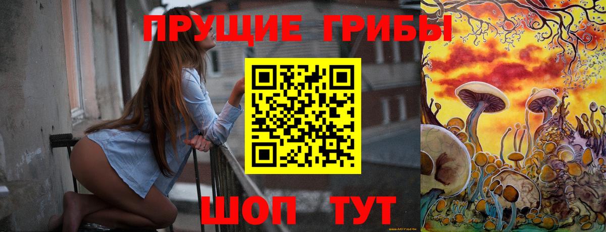Галлюциногенные грибы Psilocybe Курчалой
